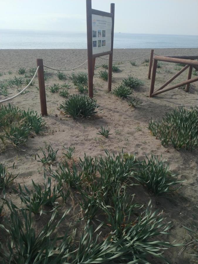 Suites Beach Nature Velez Malaga Exteriér fotografie